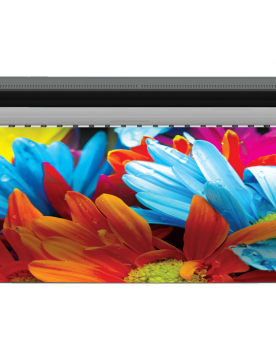 ColorJet Neptune classic 3.2 meter roll to roll solvent flex printing machine